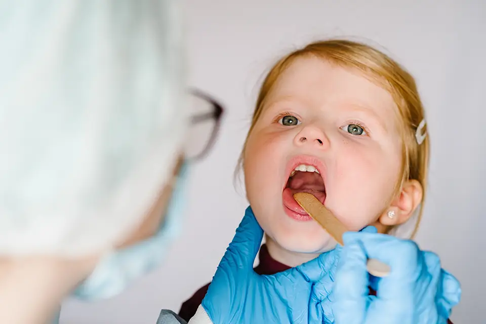 6 Month Dental Checkup